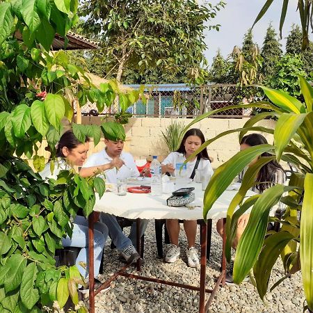 Hotel Tiger Tops Sauraha Kültér fotó