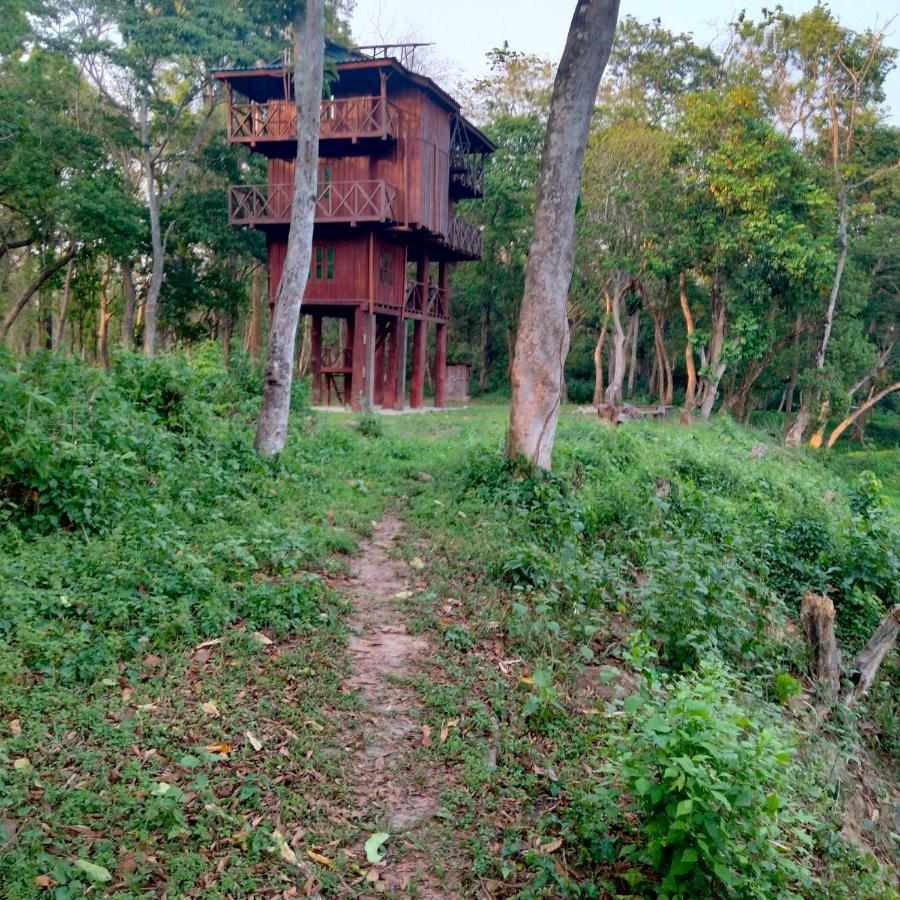 Hotel Tiger Tops Sauraha Kültér fotó