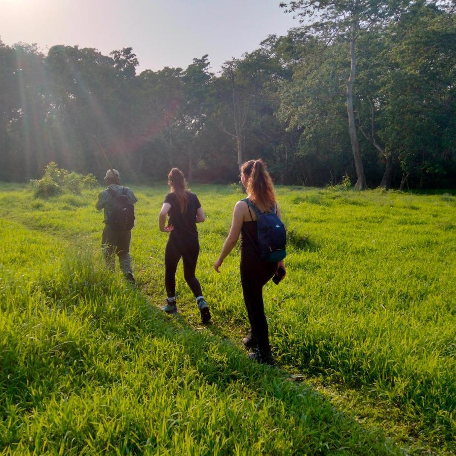 Hotel Tiger Tops Sauraha Kültér fotó