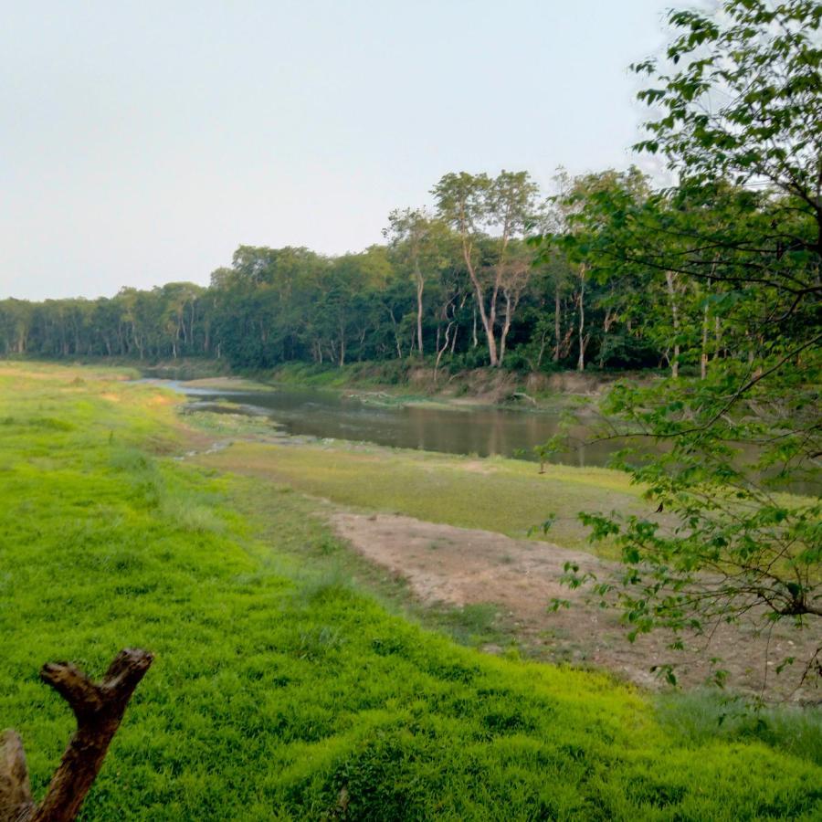 Hotel Tiger Tops Sauraha Kültér fotó