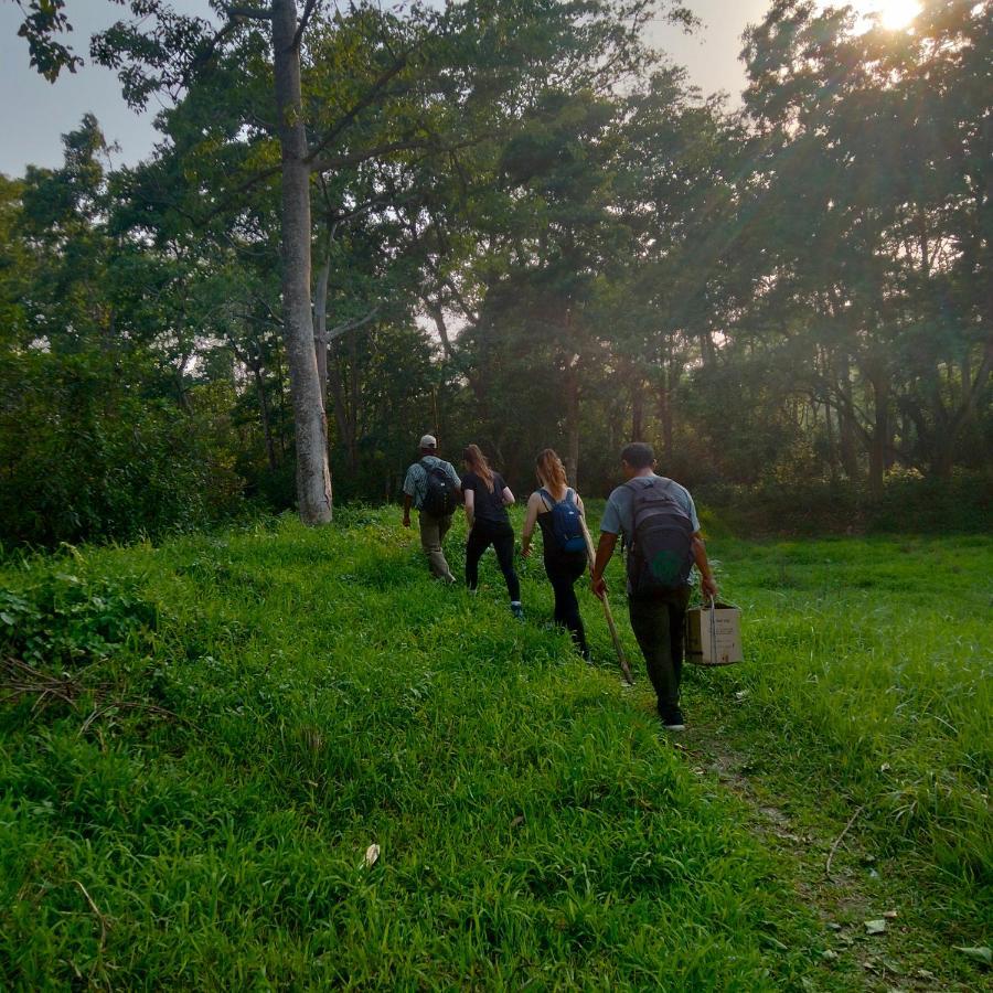 Hotel Tiger Tops Sauraha Kültér fotó