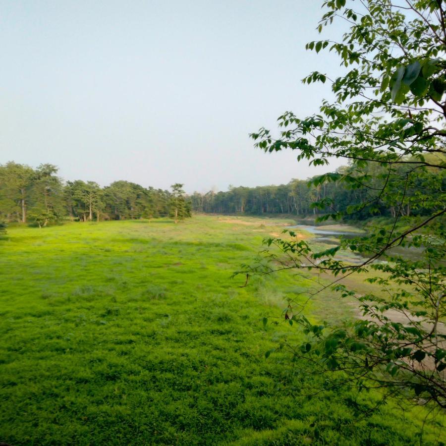 Hotel Tiger Tops Sauraha Kültér fotó