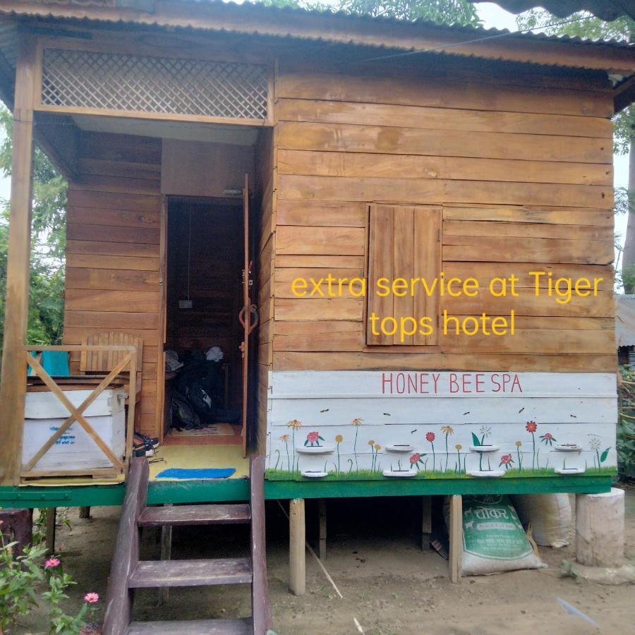 Hotel Tiger Tops Sauraha Kültér fotó
