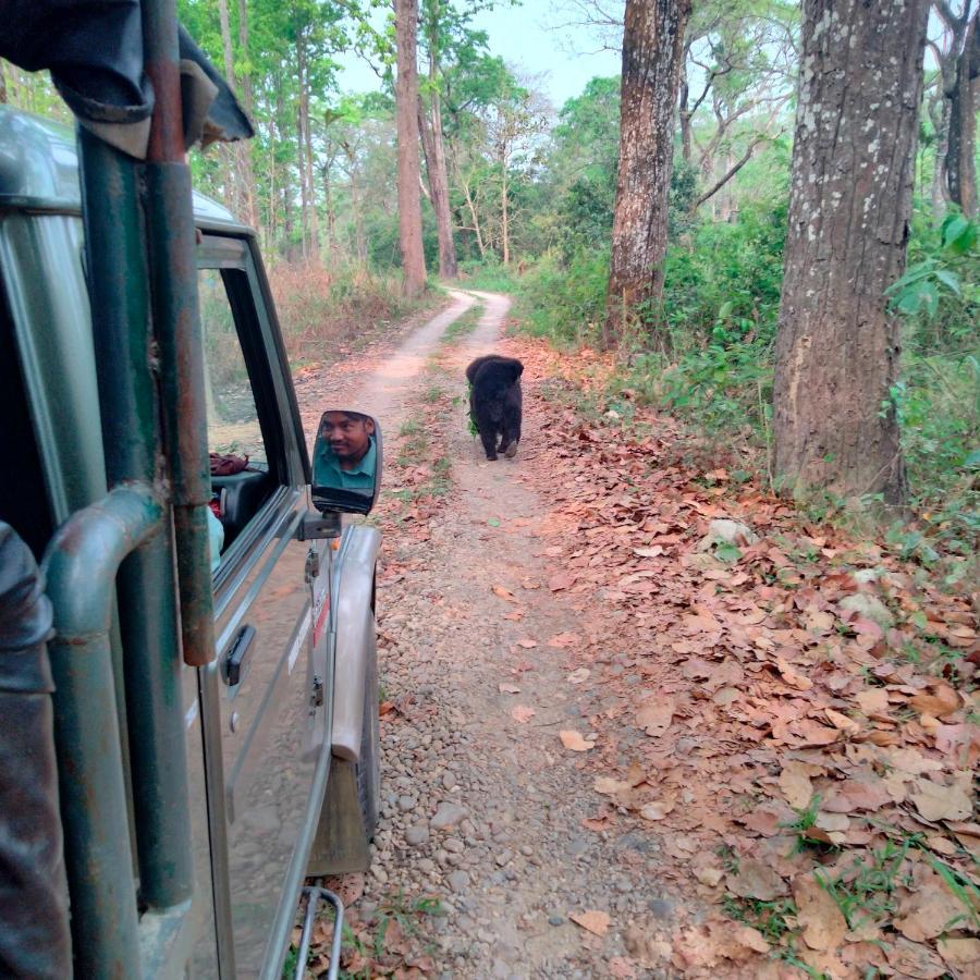Hotel Tiger Tops Sauraha Kültér fotó
