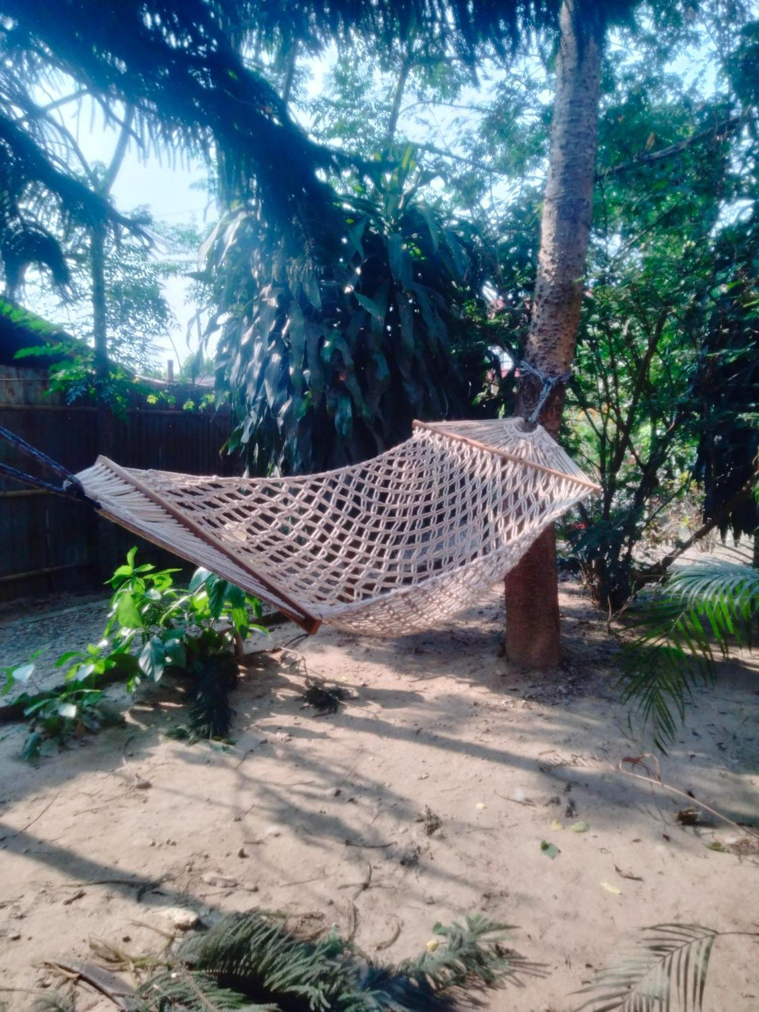 Hotel Tiger Tops Sauraha Kültér fotó