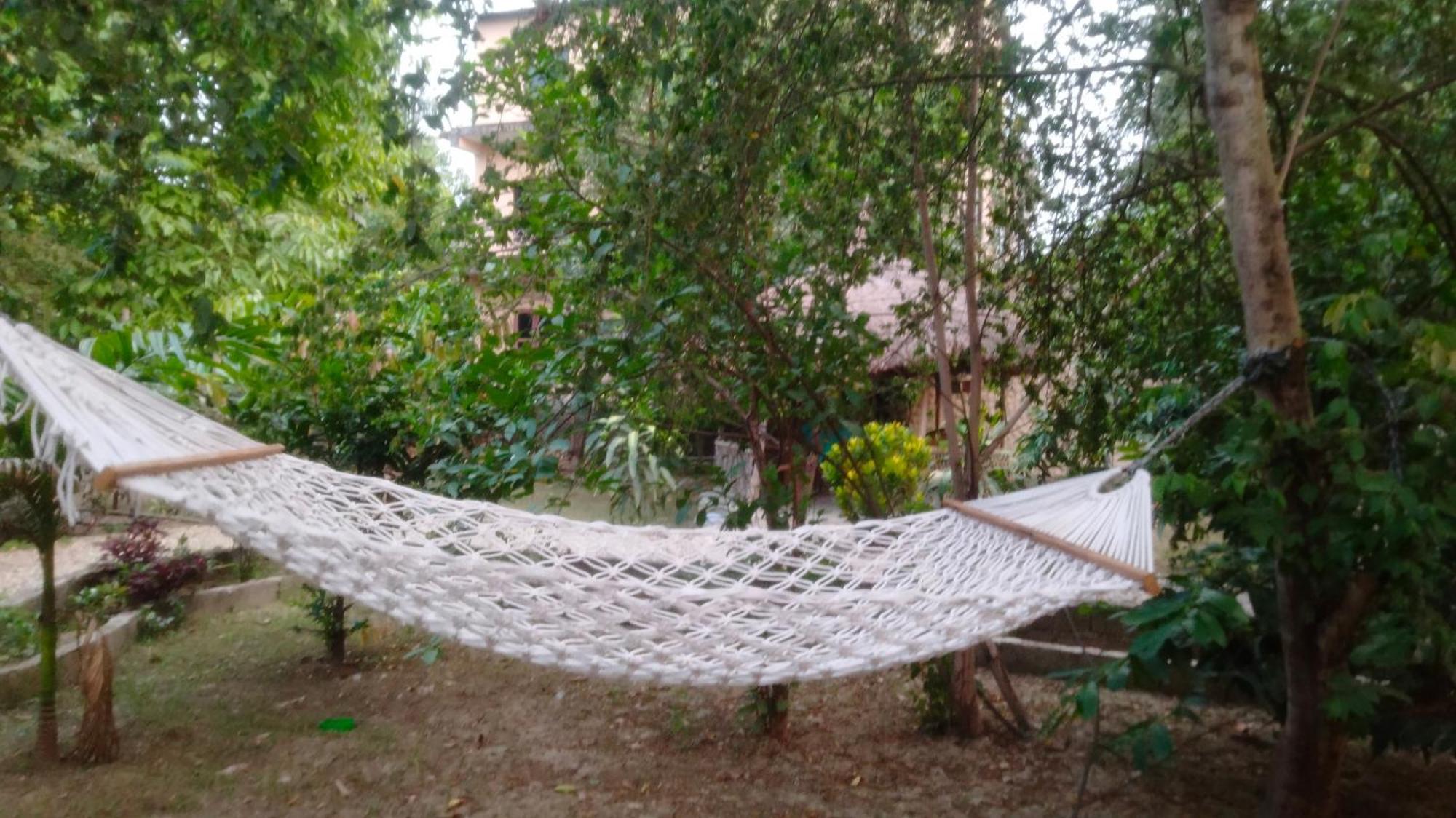 Hotel Tiger Tops Sauraha Kültér fotó
