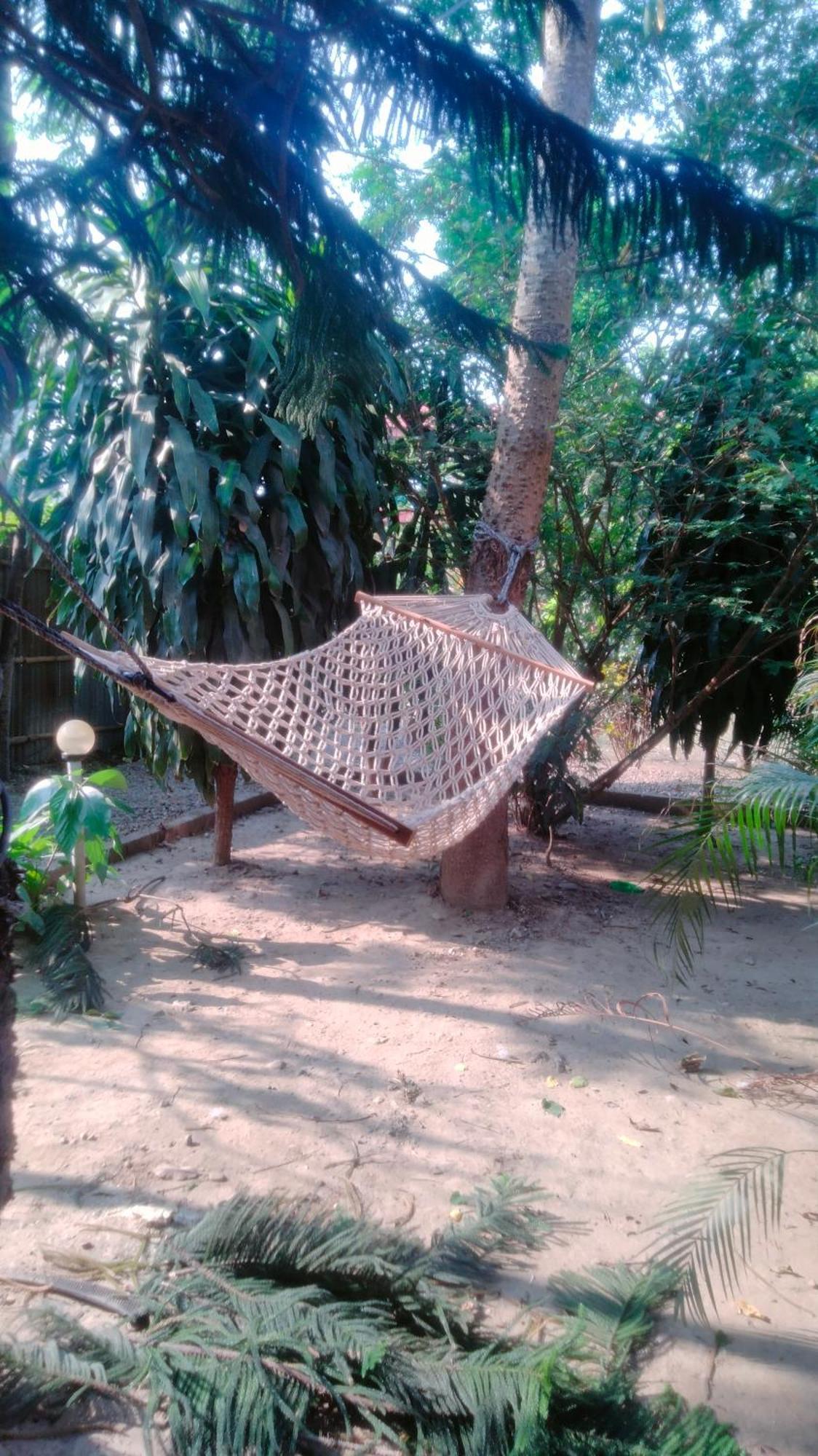 Hotel Tiger Tops Sauraha Kültér fotó