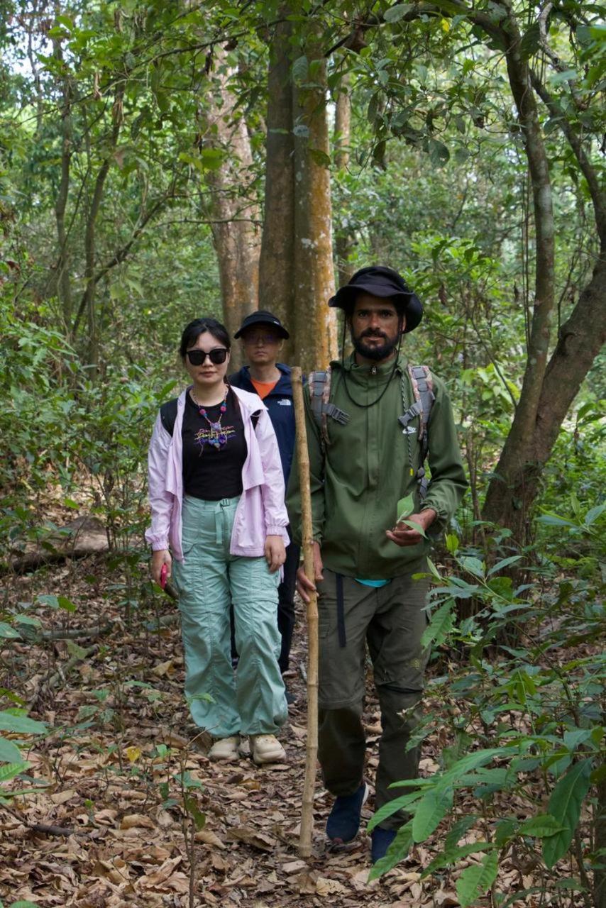 Hotel Tiger Tops Sauraha Kültér fotó