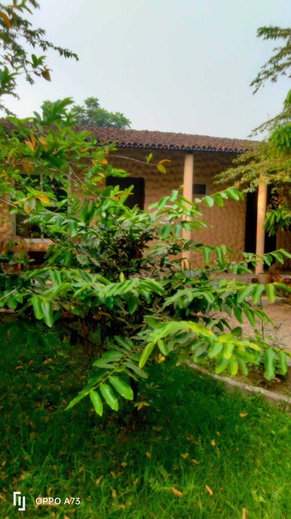 Hotel Tiger Tops Sauraha Szoba fotó