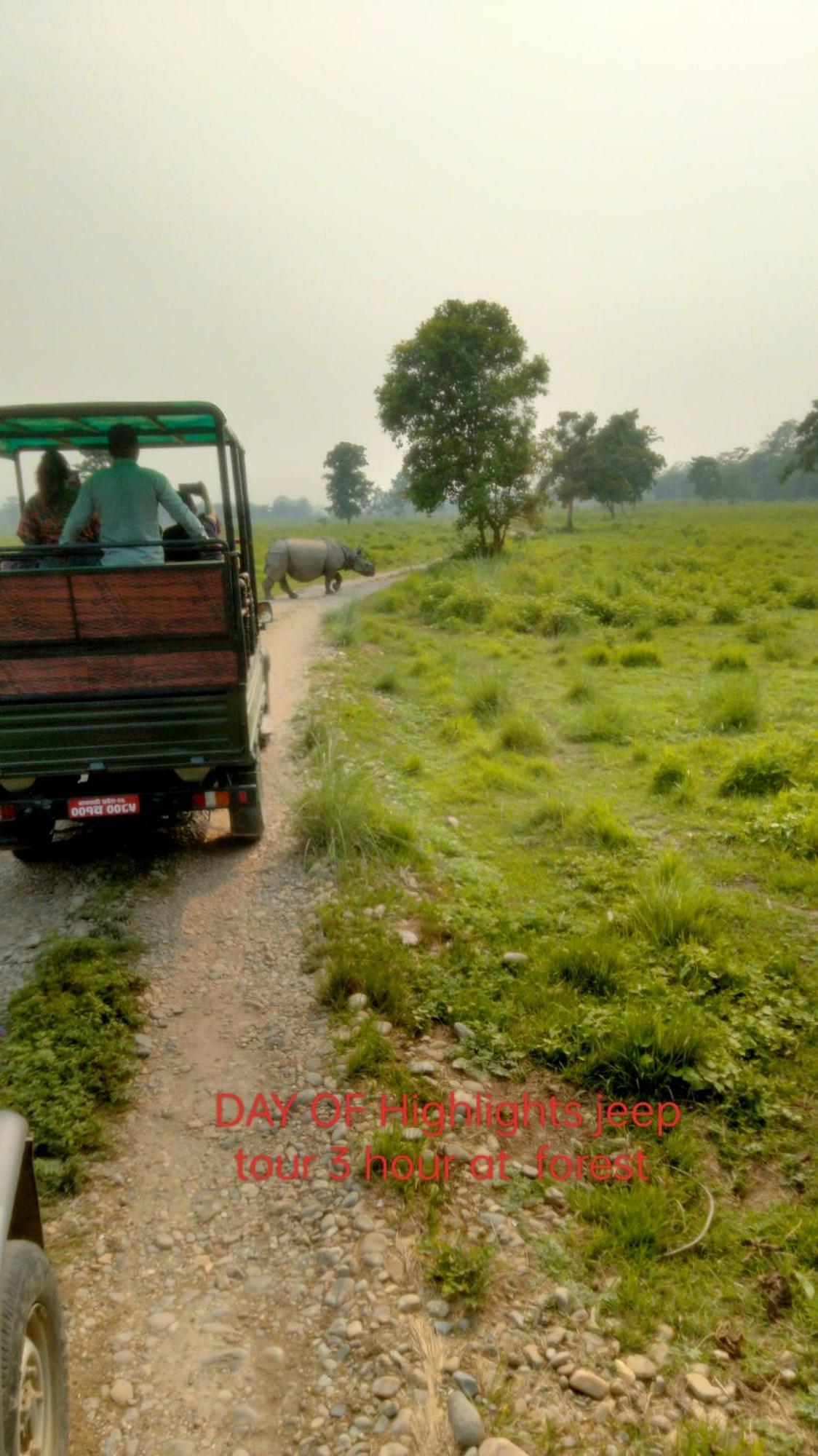 Hotel Tiger Tops Sauraha Kültér fotó