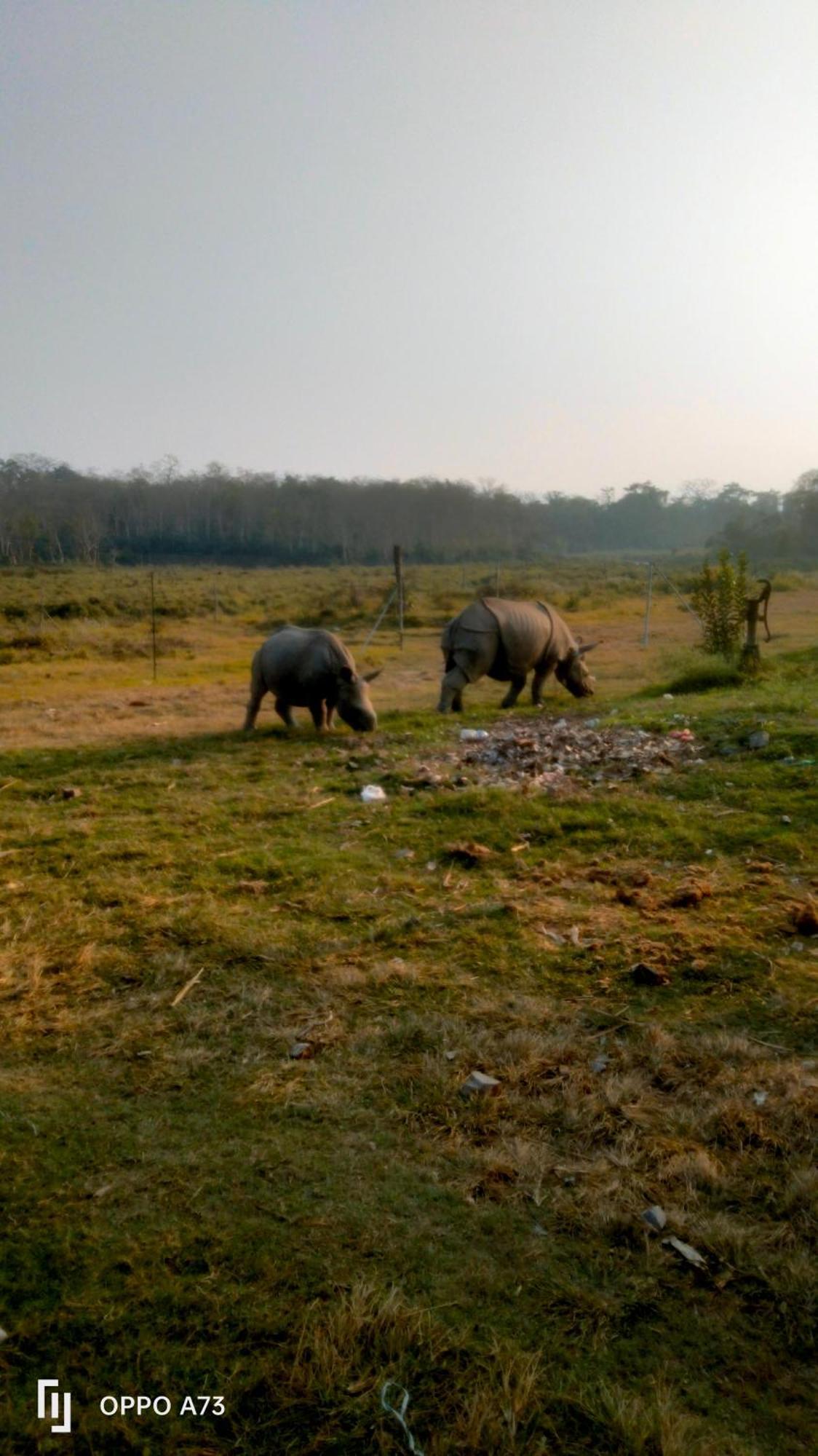 Hotel Tiger Tops Sauraha Kültér fotó