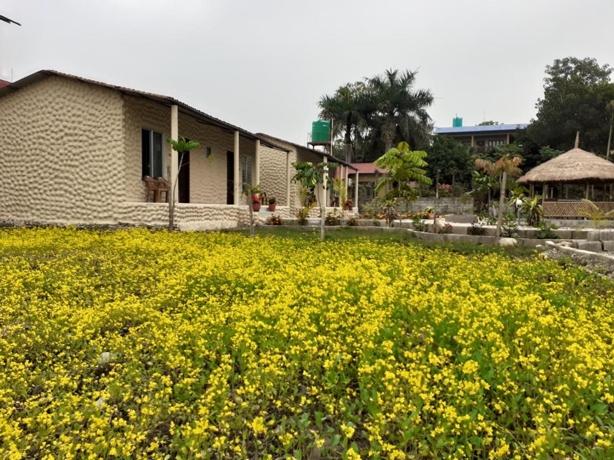 Hotel Tiger Tops Sauraha Kültér fotó